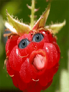 Funny Screensavers 0015